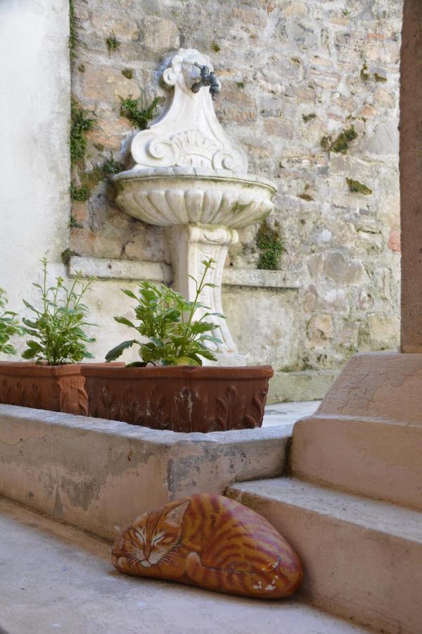 Accogliente Locale Con Terrazzo In Centro Storico Lejlighed Vittorio Veneto Eksteriør billede